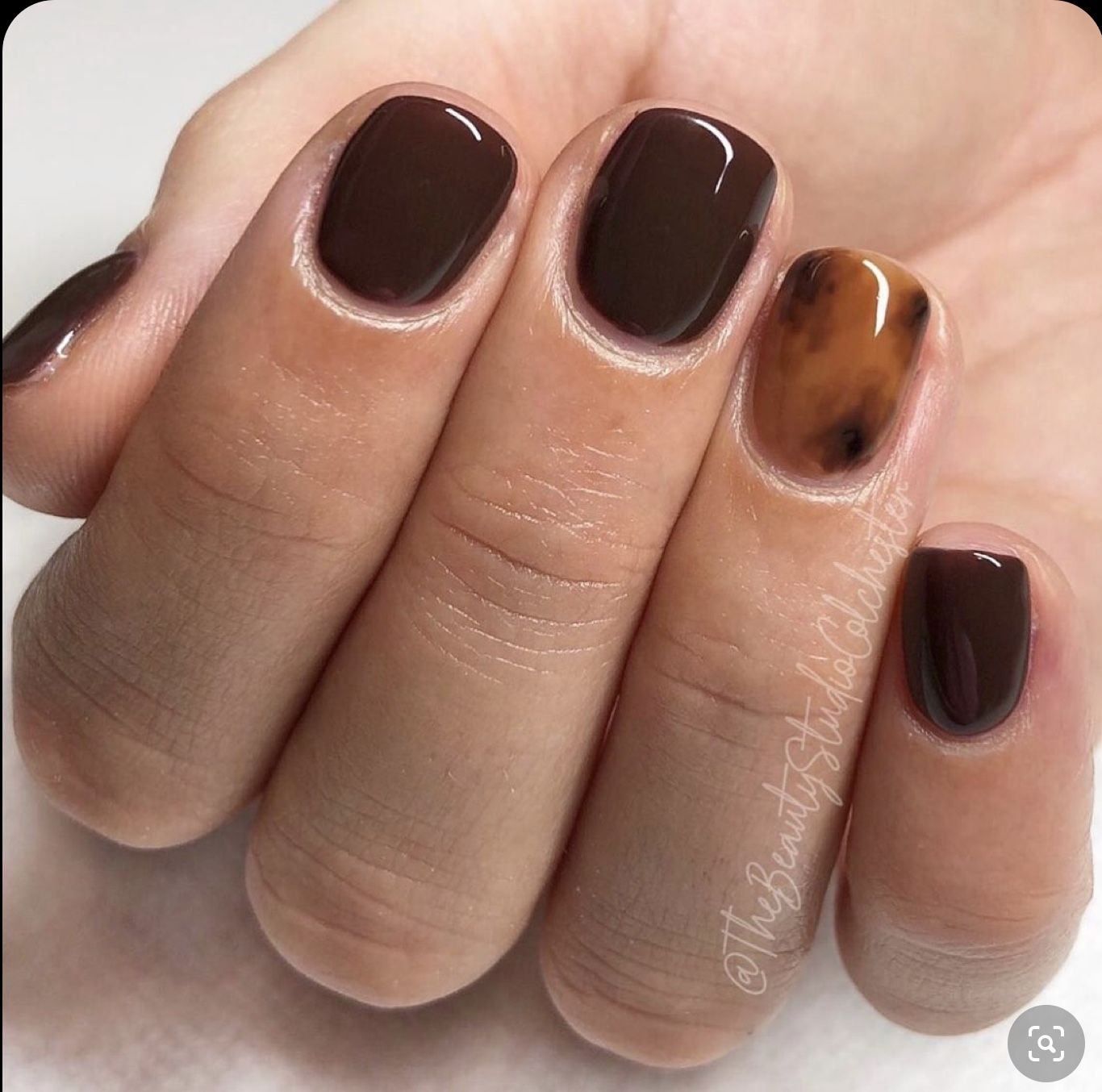 25. Glossy Dark Chocolate With Caramel Tips