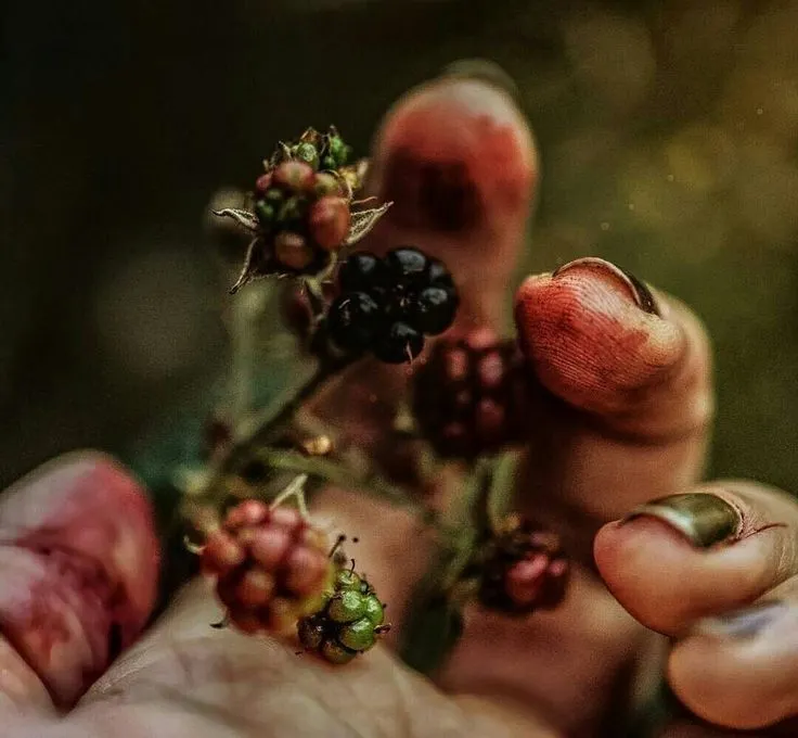 Berry Stained Blurred Nails