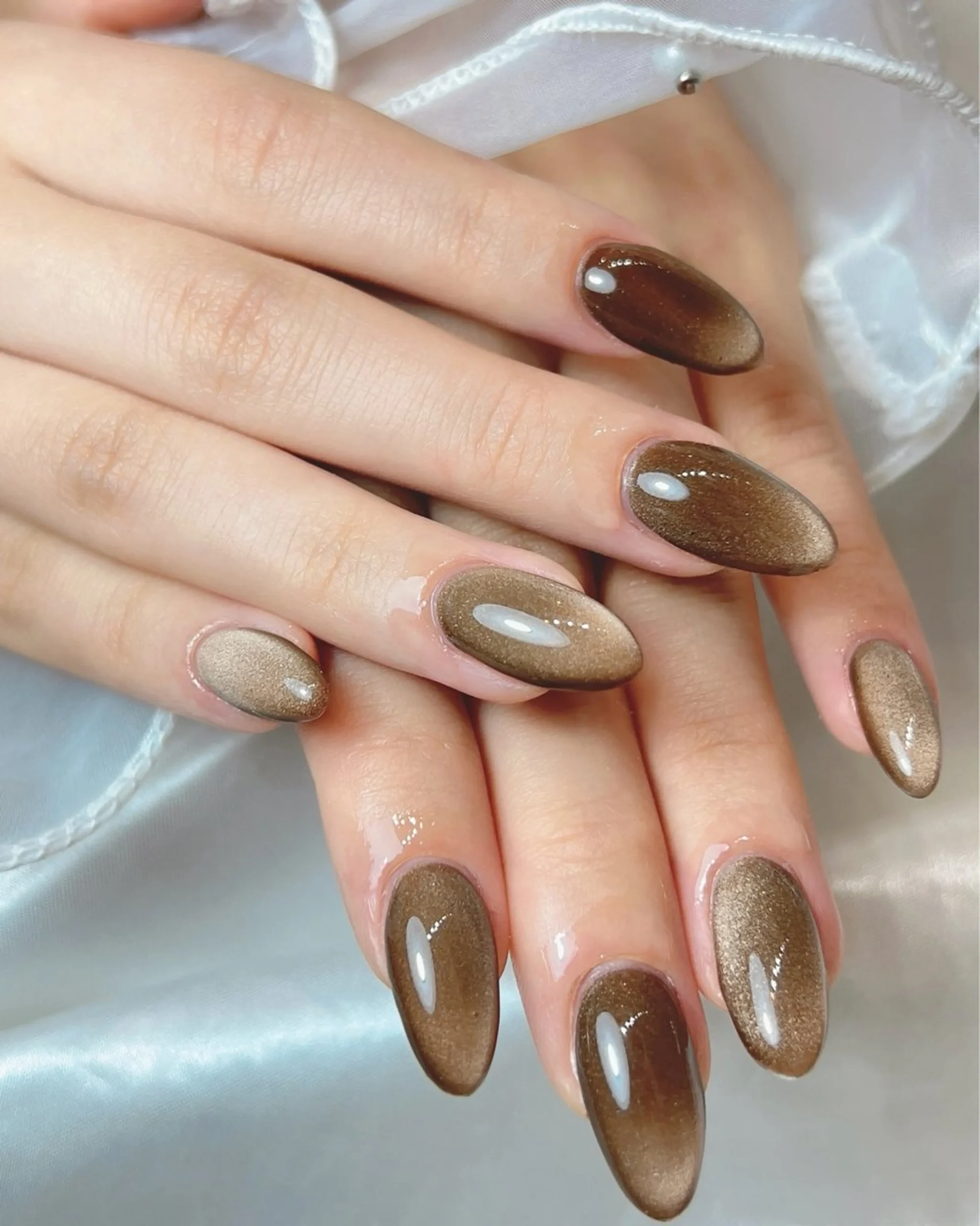 Espresso velvet cat eye nails