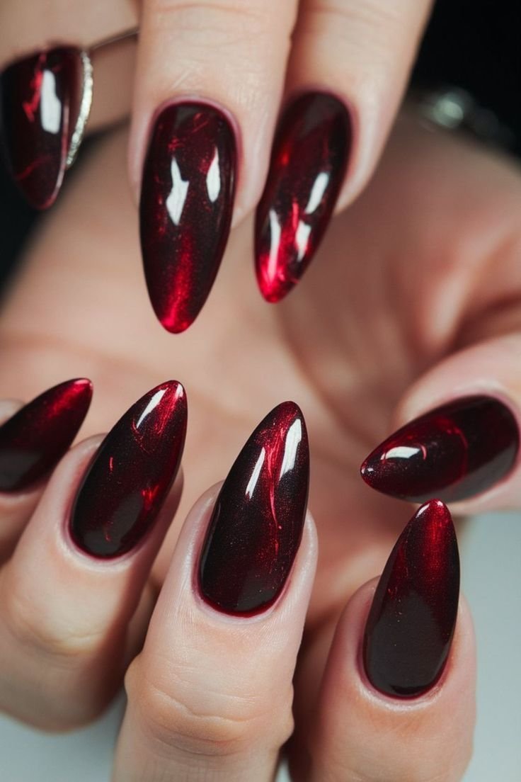 Oxblood velvet cat eye nails autumn