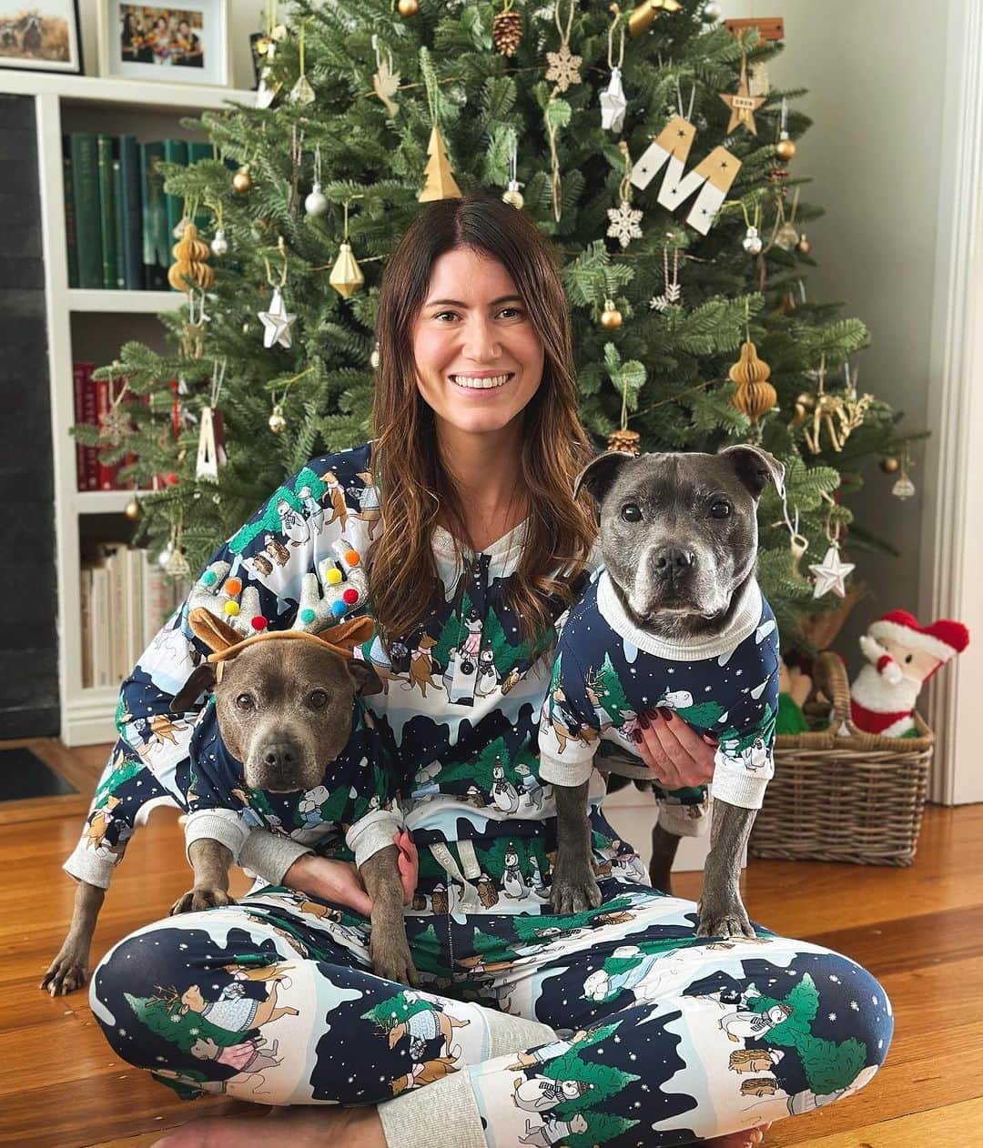Matching Christmas pajamas for women and dog