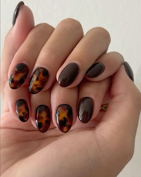 Tortoise and cream marble nails
