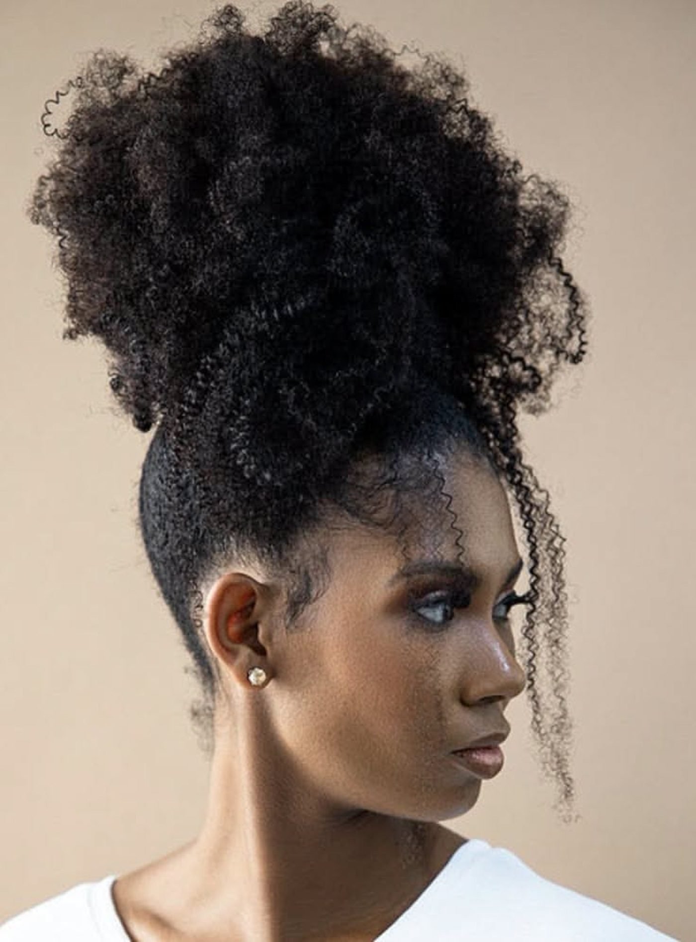 Defined Curly High Puff