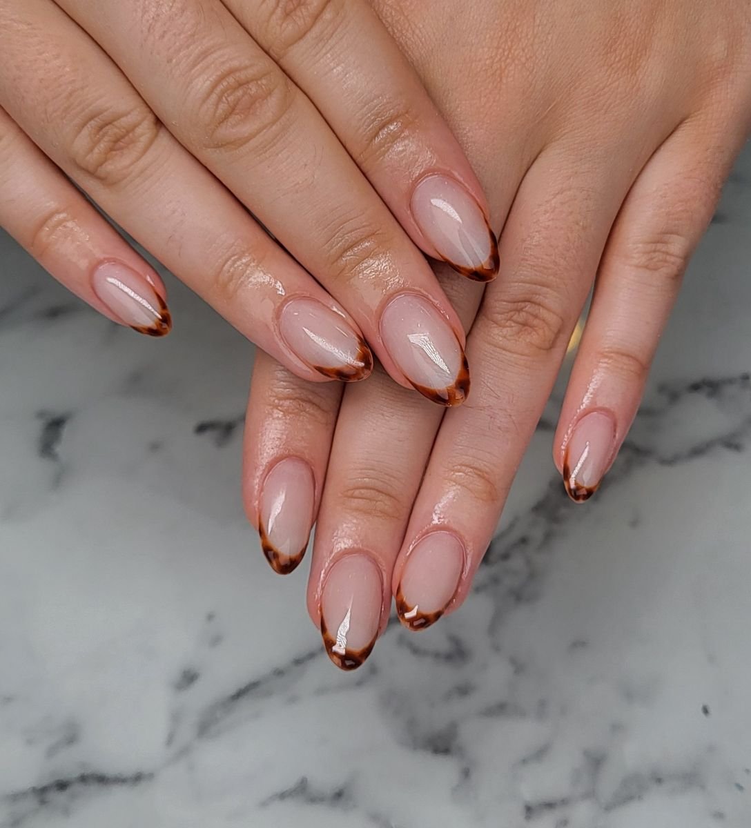 Classic Tortoise French on Almond