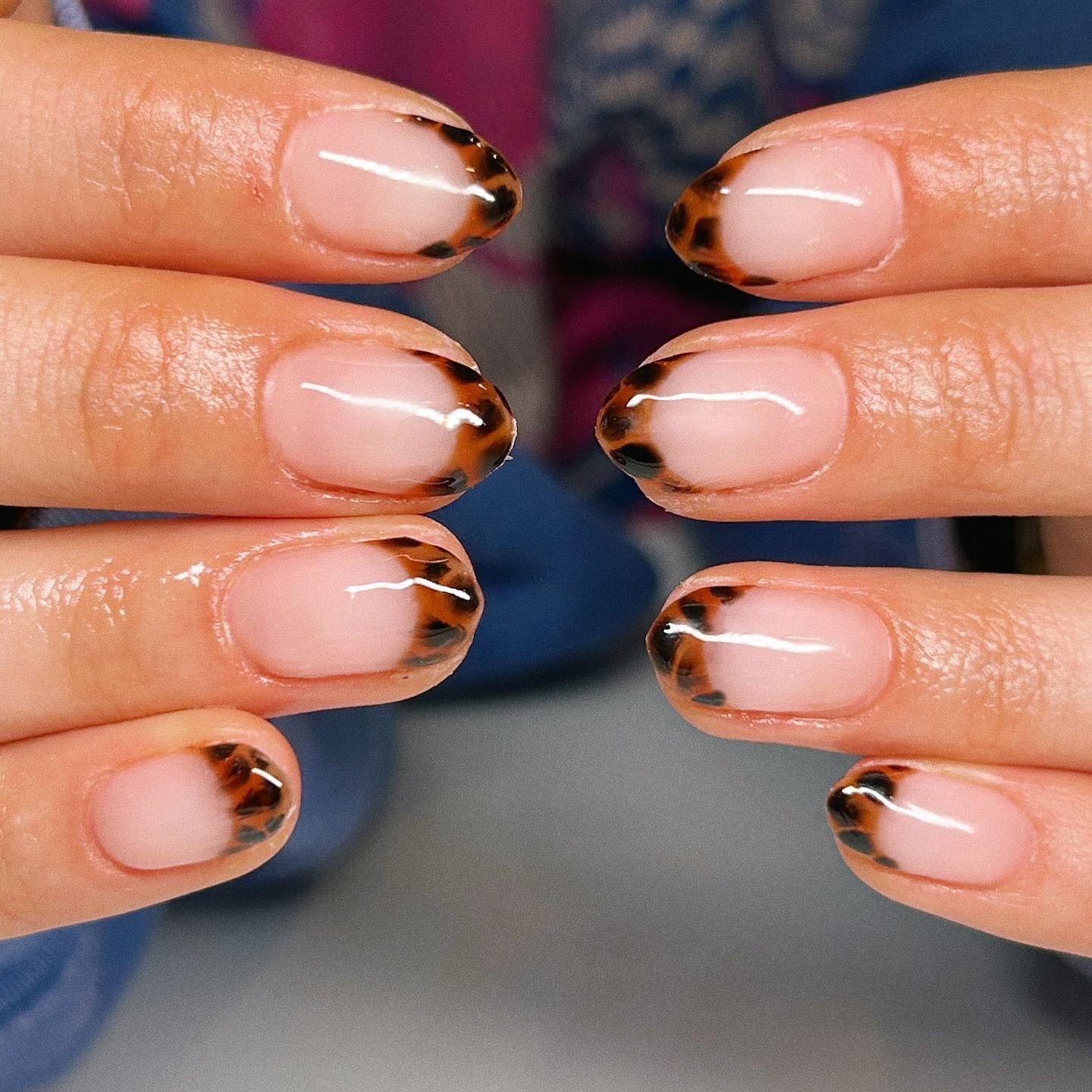Tortoise French With a Milky Base