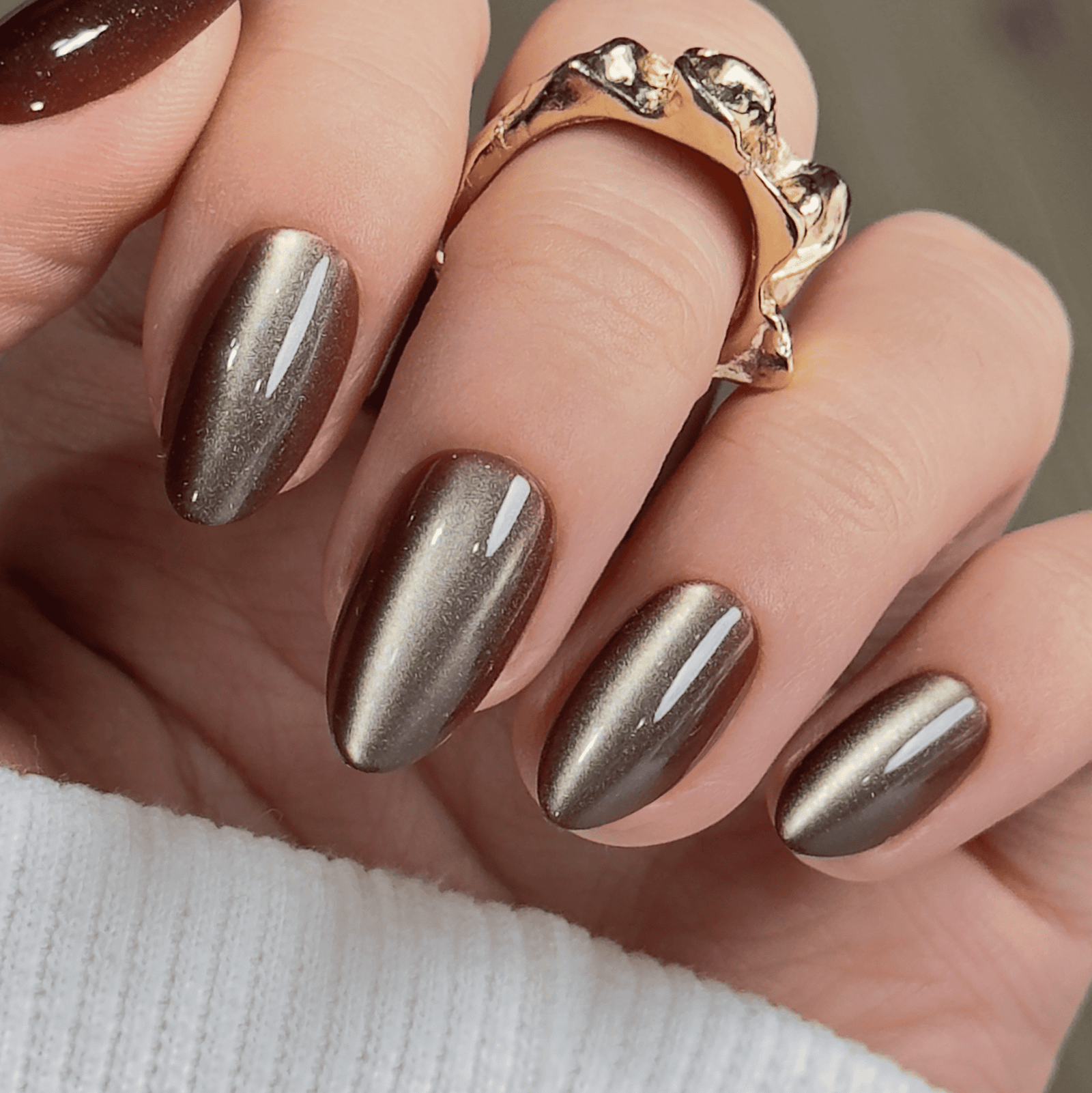 Chocolate brown magnetic cat eye nails